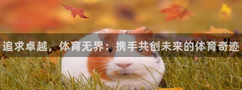 J9官网下载平台：追求卓越，体育无界：携手共创未来的