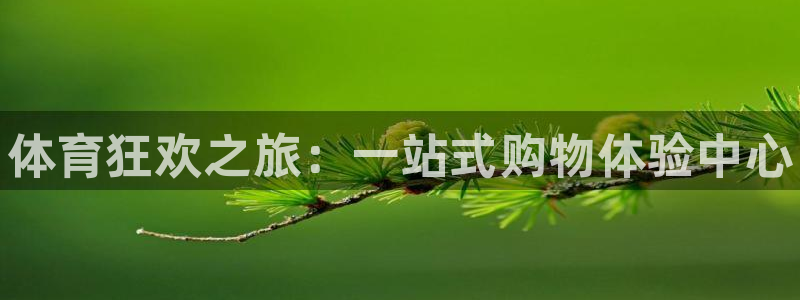 海南J9官网下载发展怎么样：体育狂欢之旅：一站式购物