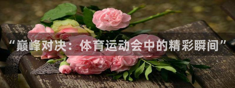 J9官方正版app集团官网首页网址：“巅峰对决：体育