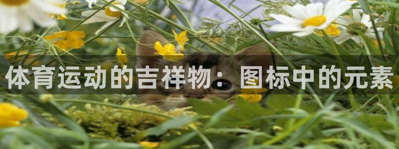 J9官方正版app开户：体育运动的吉祥物：图标中的元