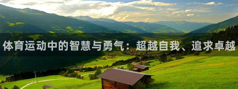 J9官方集团官网：体育运动中的智慧与勇气：超越自我、追求卓越