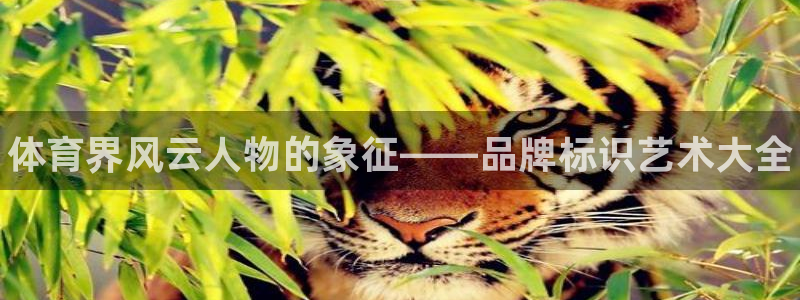 J9官网下载招商电话号码是多少号：体育界风云人物的象