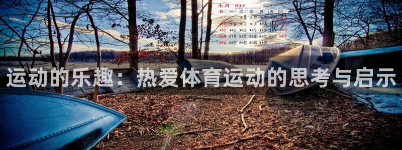 J9官网下载官方客服电话：运动的乐趣：热爱体育运动的思考与启