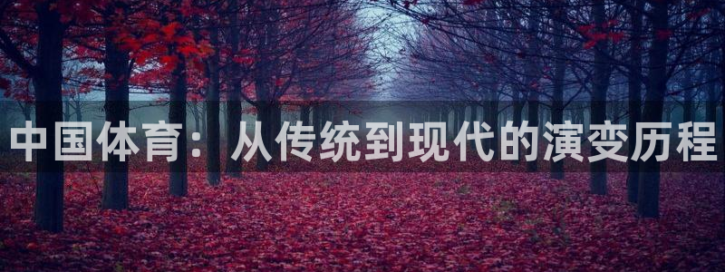 J9官方正版app代理：中国体育：从传统到现代的演变