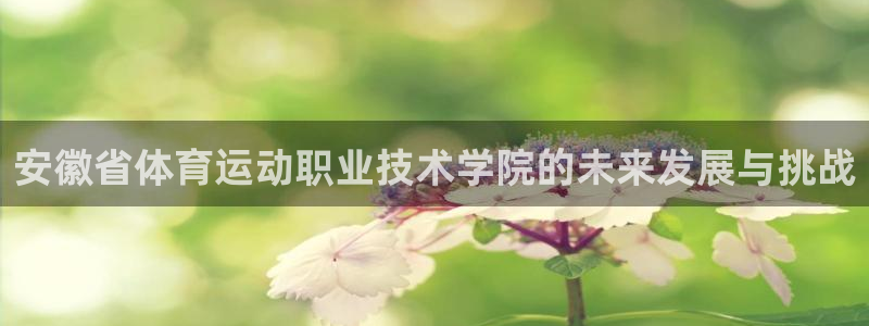 J9官网下载平台是正规平台吗：安徽省体育运动职业技术