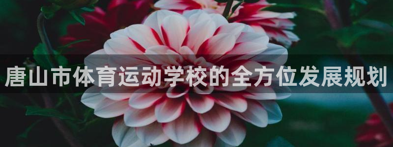 J9官网下载平台是正规平台吗安全吗：唐山市体育运动学