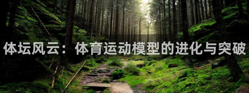 J9官方正版app娱乐平台：体坛风云：体育运动模型的