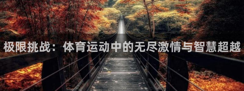 J9官方正版app集团：极限挑战：体育运动中的无尽激情与智慧