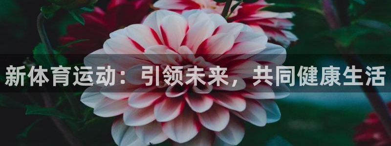 J9官网下载平台是正规平台吗安全吗：新体育运动：引领