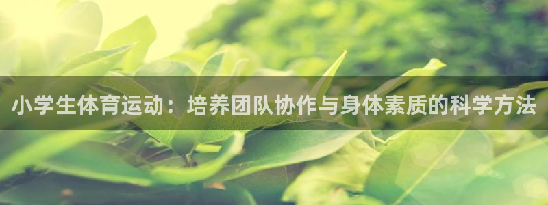 J9官方正版app集团简介：小学生体育运动：培养团队协作与身